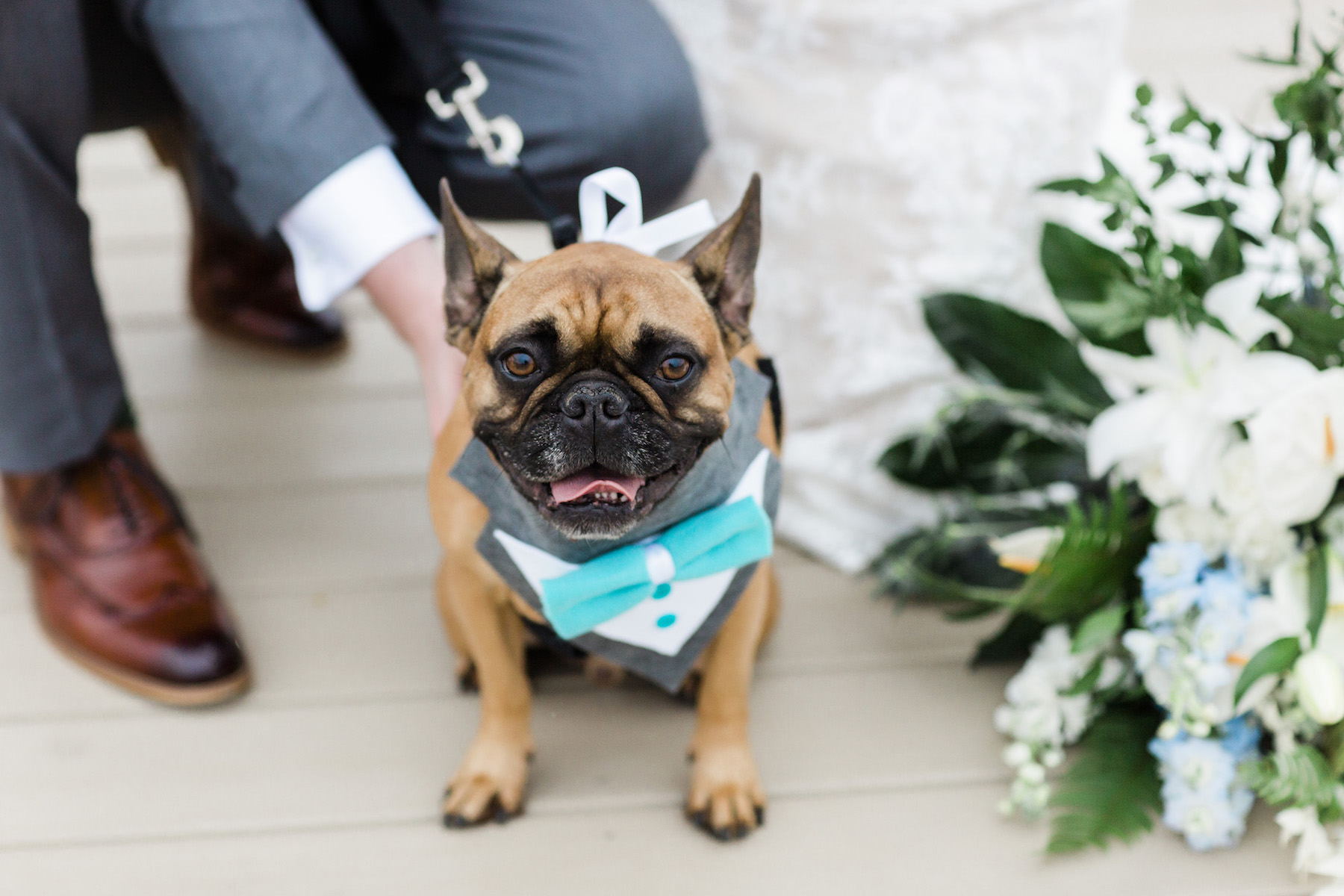 Wedding Dog of Honor | Dog Bandana Bow Tie | St. Petersburg Pet Planner Fairytail Pet Care