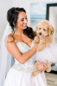 Florida Bride in Sweetheart and Strapless Rhinestone Bodice with Ballgown Skirt Wedding Dress Holding Pet Dog Poodle Portrait | Tampa Bay Wedding Photographer Shauna and Jordon Photography | Pet Planner FairyTail Pet Care | Wedding Dress Truly Forever Bridal