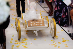 White Dog Being Pulled in White and Gold Wagon with Wooden Personalized Sign Wedding Ceremony Portrait | Tampa Bay Wedding Pet Planner FairyTail Pet Care