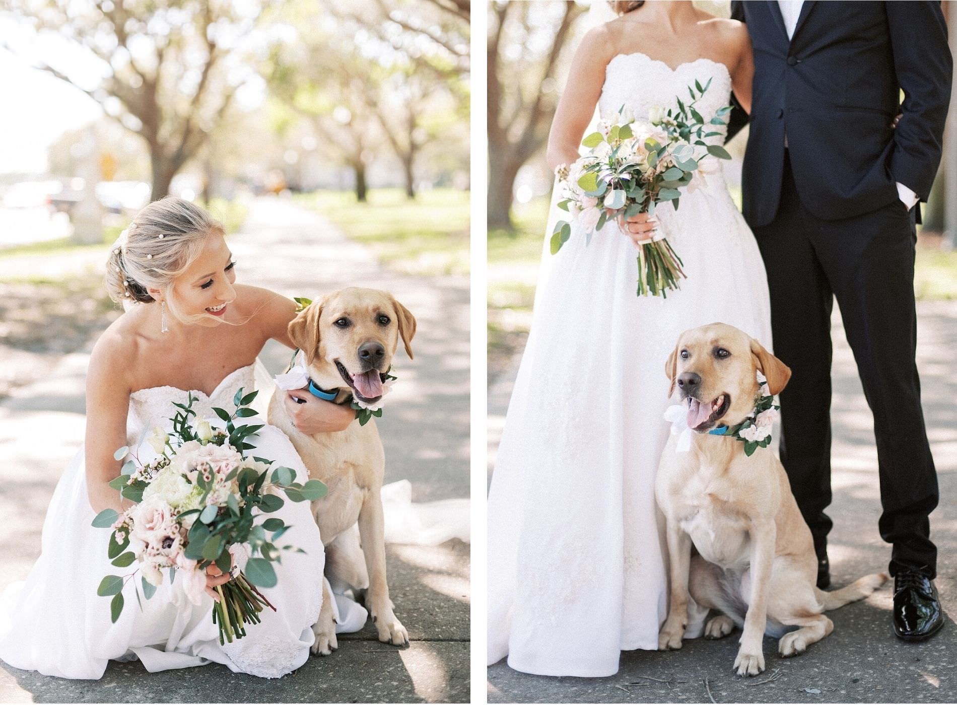 Bride and Groom Portraits with Pet Dog Labrador with Floral Collar