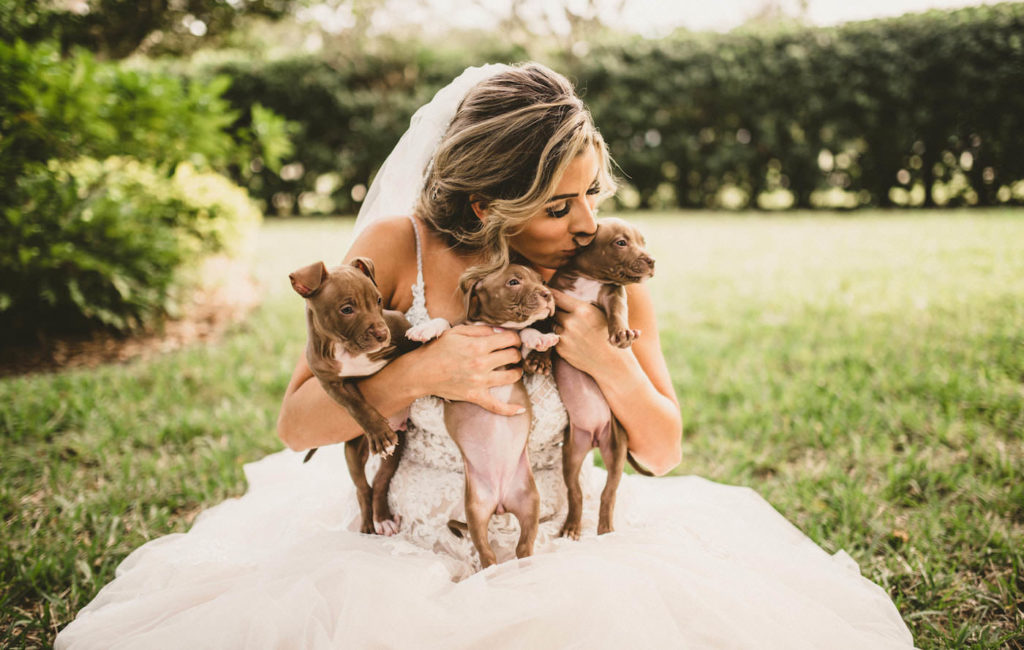 Tampa Wedding with Adoptable Puppies | Bride Kissing a Puppy Dog | Puppy Instead of Bridesmaid Bouquet