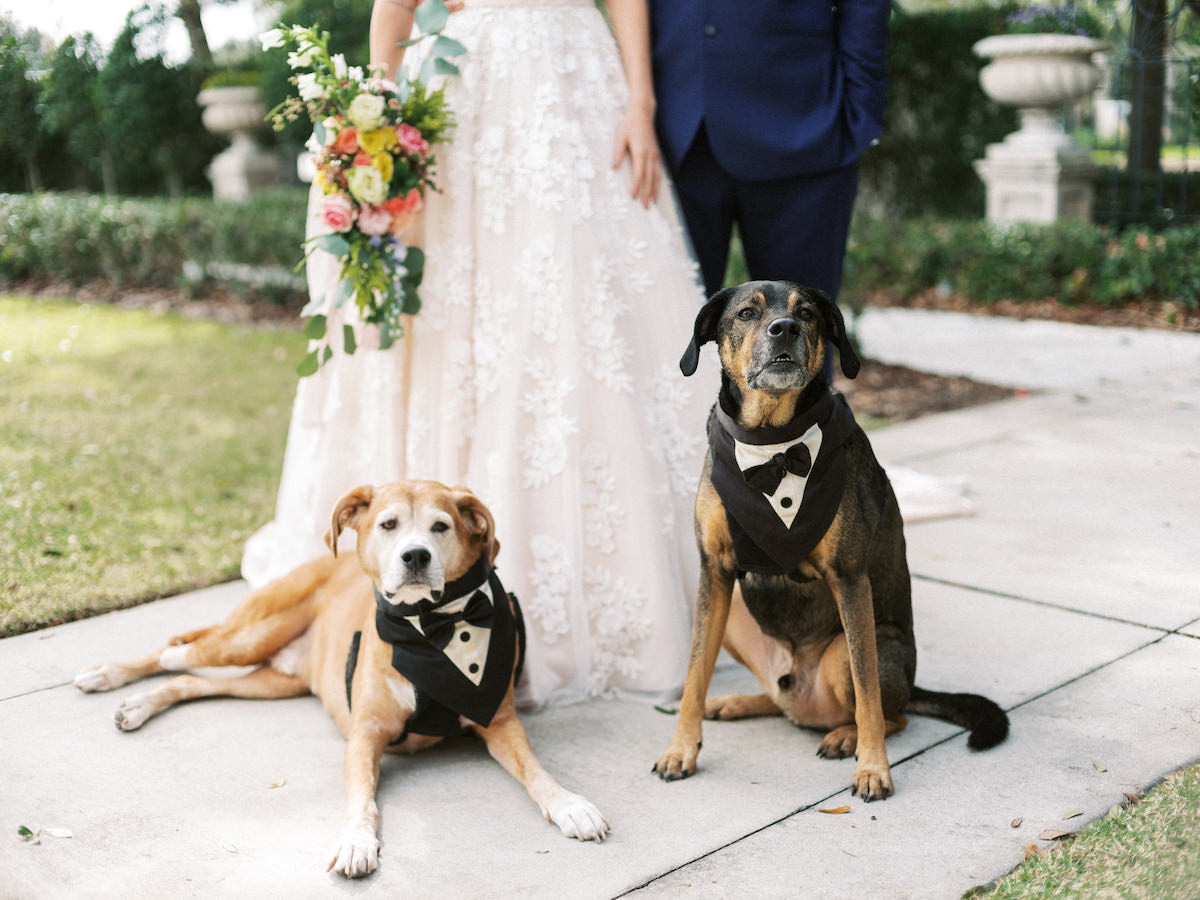 Tampa Styled Shoot European Pastel Spring Wedding Inspiration | Bride and Groom Outdoor Garden Portraits with Pet Dogs of Honor | Bride Wearing Lace Ball Gown Wedding Dress and Groom Wearing Navy Blue Suit