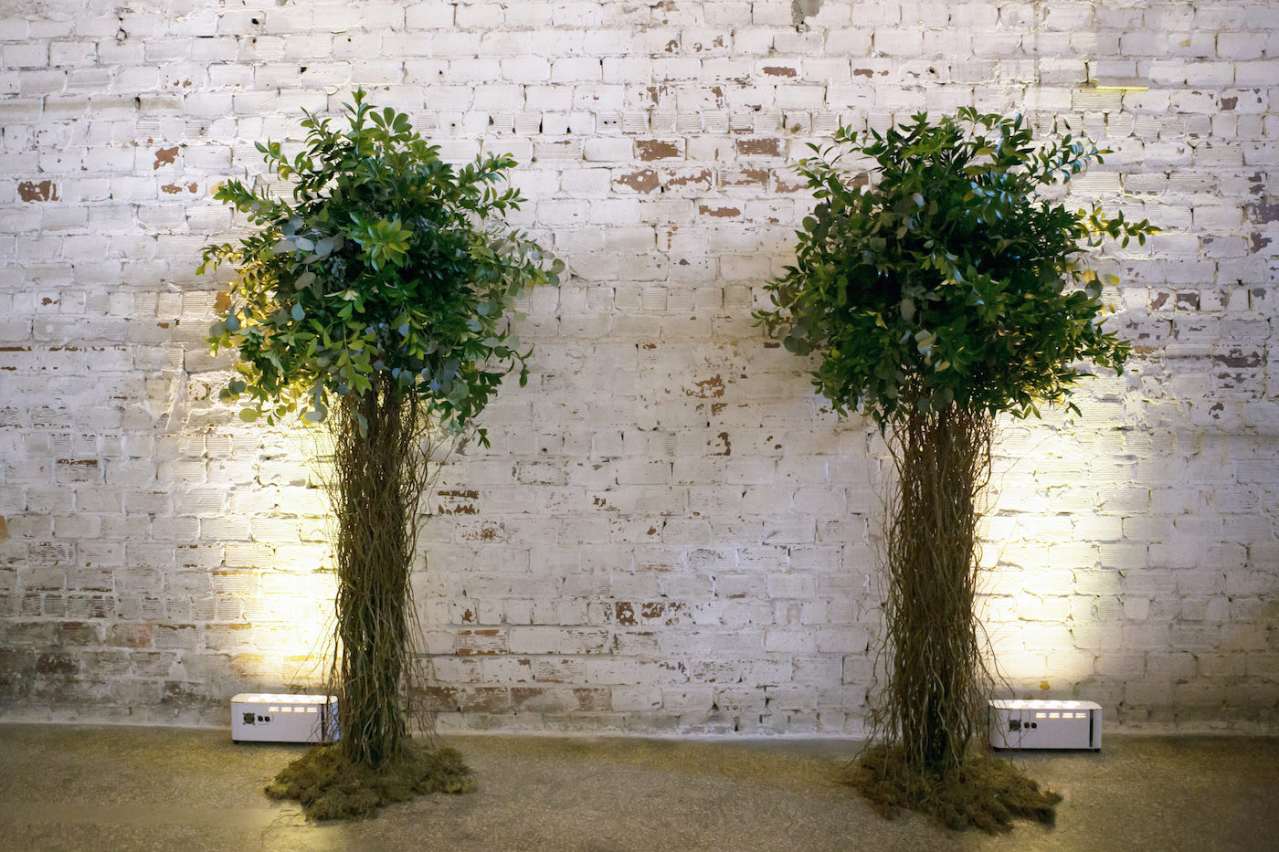 Wes Anderson Wedding Ceremony Decor, Curly Willow Trees Against White Brick Wall and Uplighting | Wedding Photographer Carrie Wildes Photography | Tampa Bay Wedding Florist Monarch Events and Design | Wedding Planner UNIQUE Weddings & Events | Wedding Venue Rialto Theatre