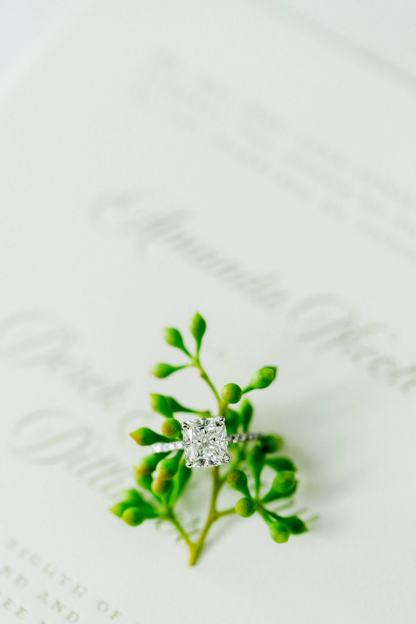 Florida Engagement Wedding Ring, Emerald Cut Diamond with Succulent Backdrop
