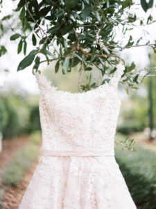 Lace Bridal Gown Wedding Dress Hanging on Gold Hanger in a Tree | Sarasota Wedding Dress Boutique Truly Forever Bridal