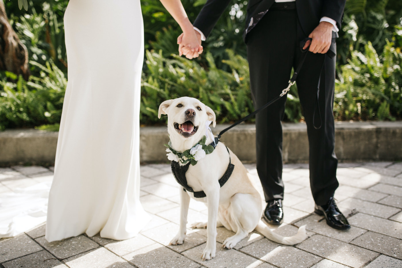 Bride and Groom and Dog of Honor Outdoor Portrait | Wedding Dog with Floral Collar | FairyTail Pet Care