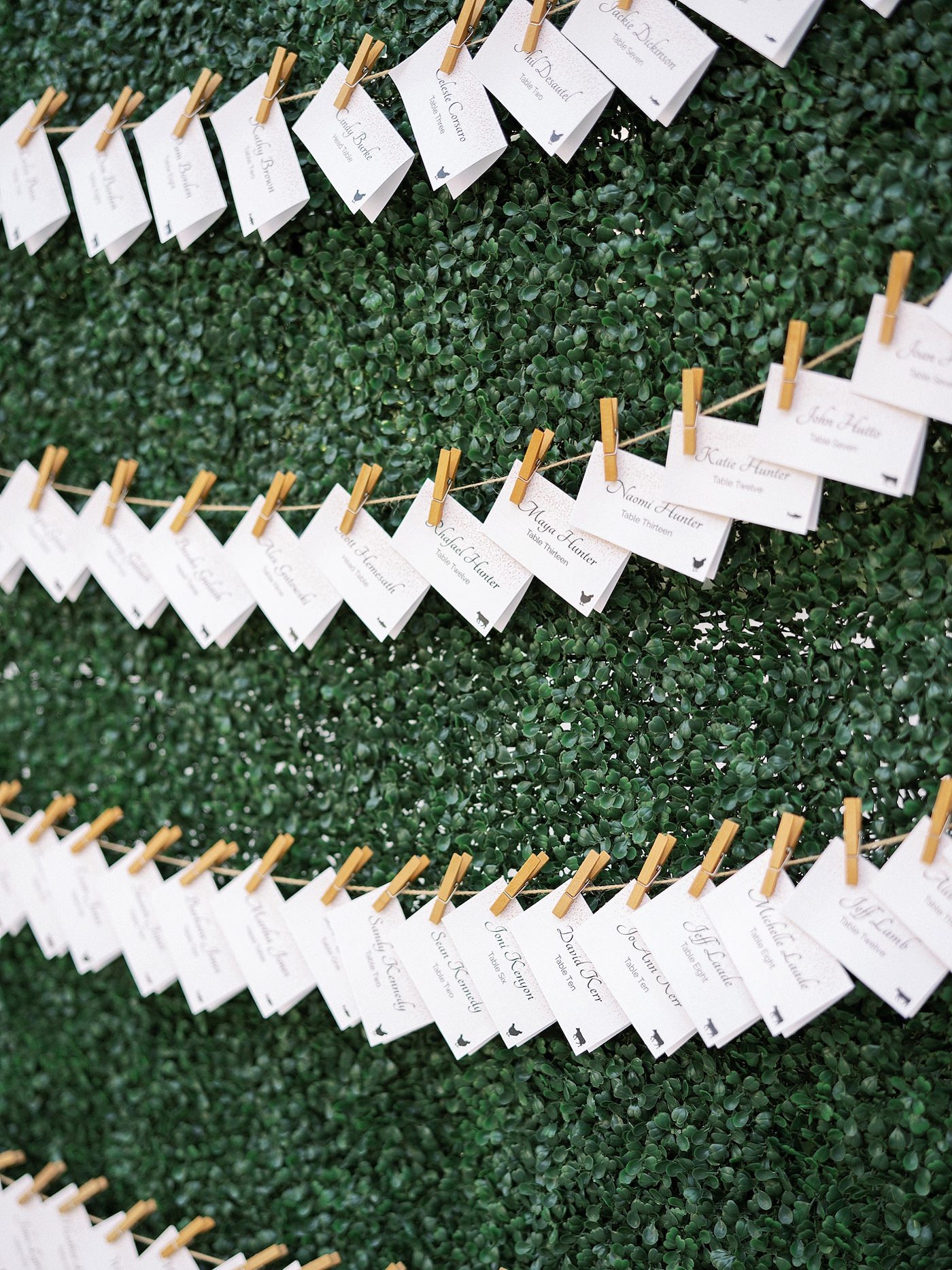 Wedding Escort Card Display Clothesline Hedge Wall Seating Arrangement