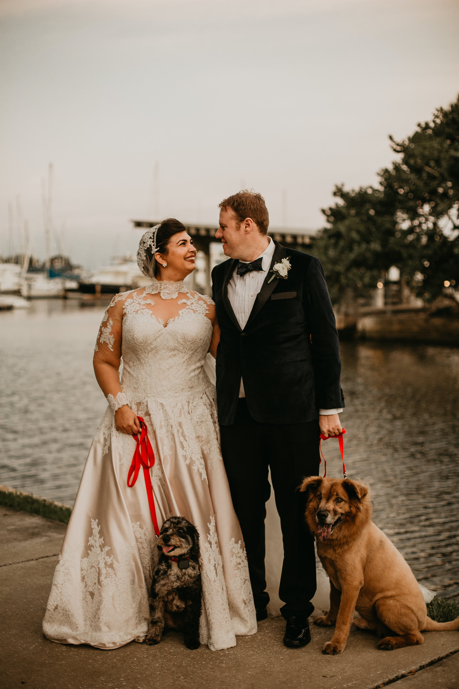 Downtown St. Petersburg Florida Marina Outdoor Bride and Groom Portrait | Champagne and Ivory Lace Allure Bridal Ball Gown with Sweetheart Neckline and Illusion Lace Bodice and Sleeves with Cathedral Veil | Groom Wearing Classic Black Tuxedo Suit with Bow Tie | Wedding Pets Dogs of Honor