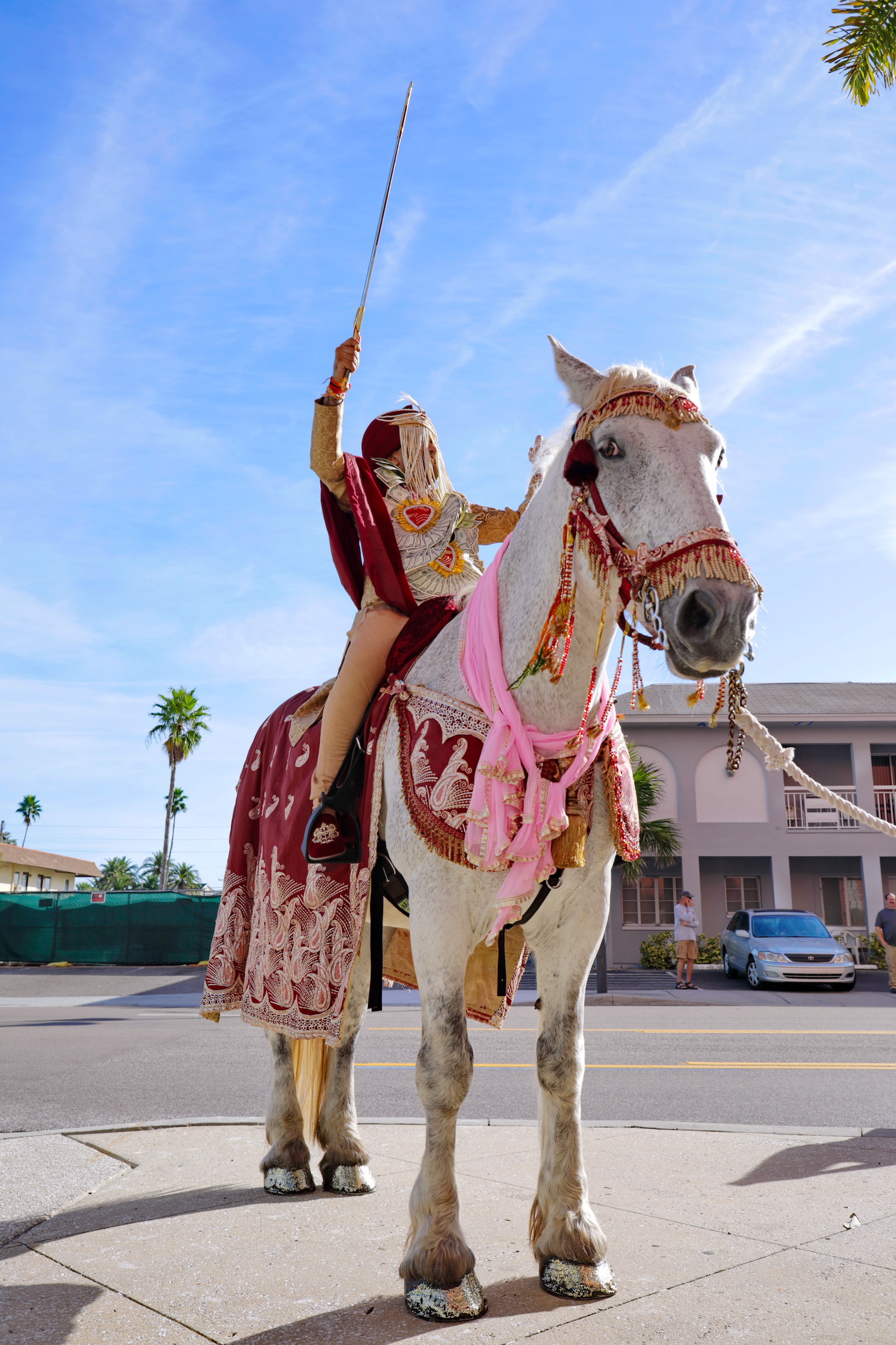 Clearwater Florida Indian Wedding | Groom White Horse Baraat Beaded Sehra