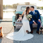 Tampa Bay Bride and Groom On Blue Vintage Rental Truck Outside of Lakefront Wedding Ceremony During Sunset, With Adoptable Senior Rescue Dogs, Bride Holding Modern Bridal Bouquet with Light Ivory and White Florals, Wearing Fitted Stella York Wedding Dress with Tan Bodice and White Lace Applique Overlay, Groom in Blue Men's Warehouse Tuxedo with Light Blue Tie | St. Petersburg Women's Club | Florida Day of Wedding Coordinator and Planner Special Moments Event Planning | Grind & Press Photography