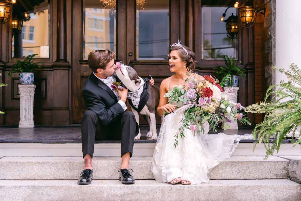 Florida Bride and Groom on Steps of Historic Wedding Venue Anderson House with Pitbull Dog in Tuxedo, Bride Holding Whimsical Lush Bouquet with Purple, Red and White Florals, Greenery and Feathers | Tampa Bay Wedding Planner EventFull Weddings