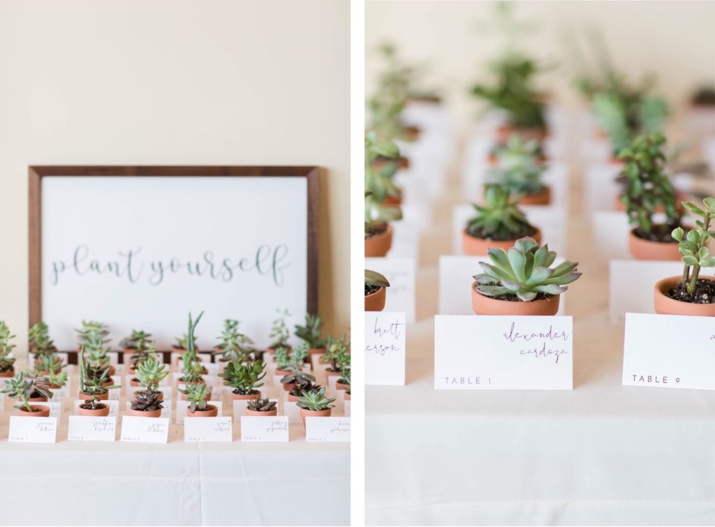 Natural Green and White Wedding Favor Inspiration | Plant Yourself Escort Card Display Wedding Seating Chart | Potted Succulent Cactus Cacti Wedding Favor Escort Cards