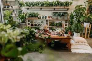 Boho Neutral Styled Shoot | Wooden Table with Greenery Plants, Unique Floral Centerpiece, White Pillows and Cushions | St. Pete Wedding Venue Wild Roots Nursery | Wedding Planner Elope Tampa Bay | Amber McWhorter Photography
