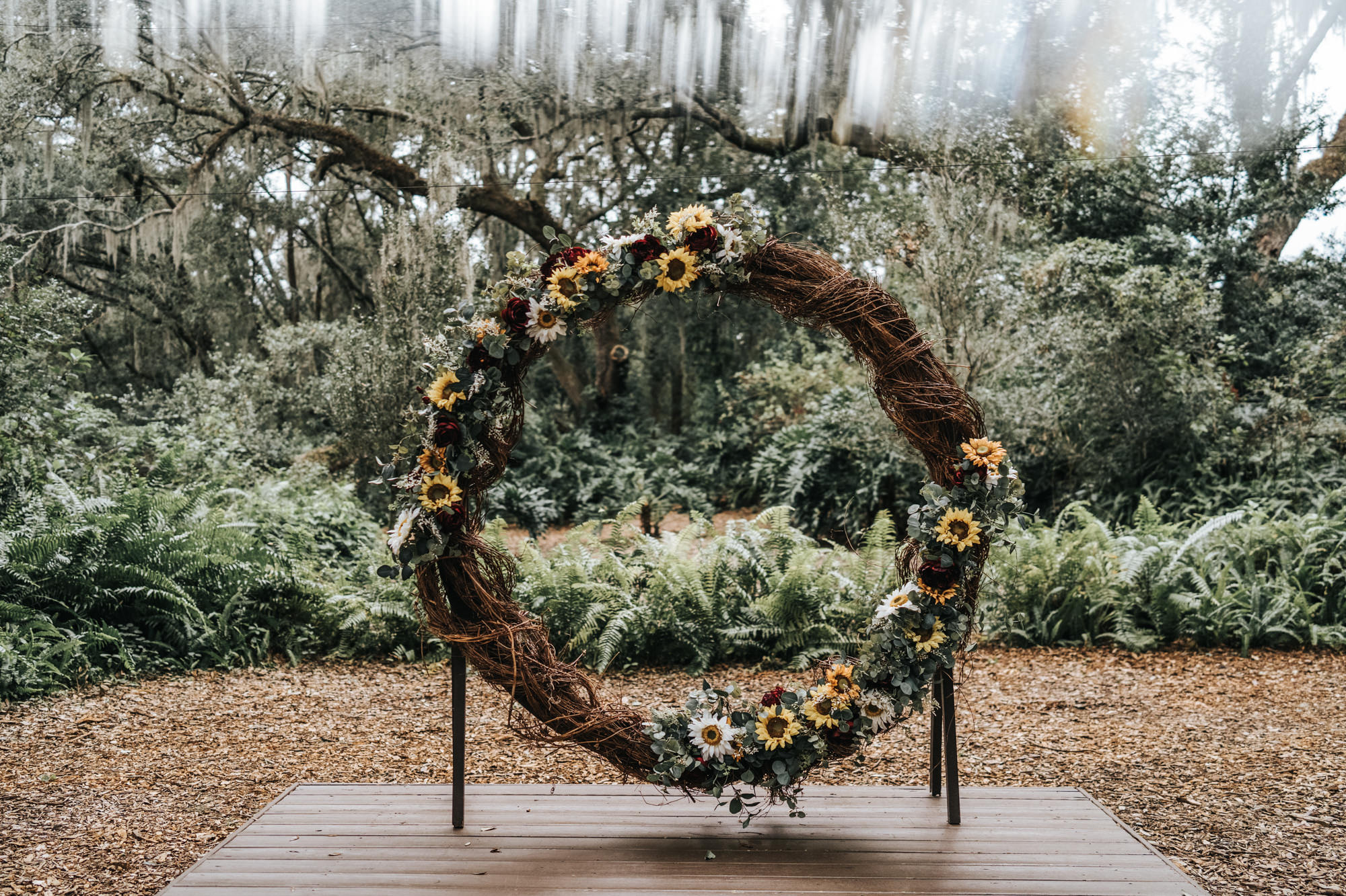 Rustic Dover Burgundy and Yellow Sunflower Outdoor Wedding Ceremony with Wood Benches and Round Grapevine Branch Arch with Eucalyptus Greenery and Sunflowers