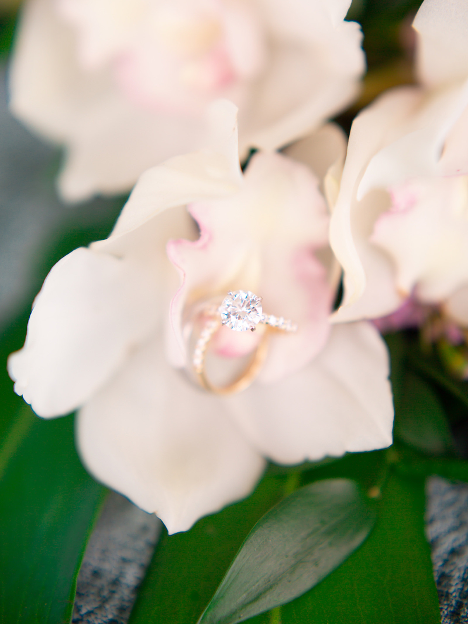 Gold Round Solitaire Engagement Ring and Yellow Gold Diamond Wedding Band on Bed of Tropical Flowers