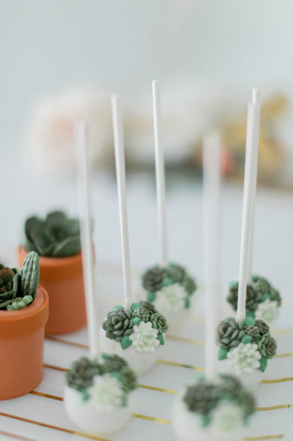 Succulent Greenery Wedding Cake Pops | Tampa Bay Baker Sweetly Dipped Confections