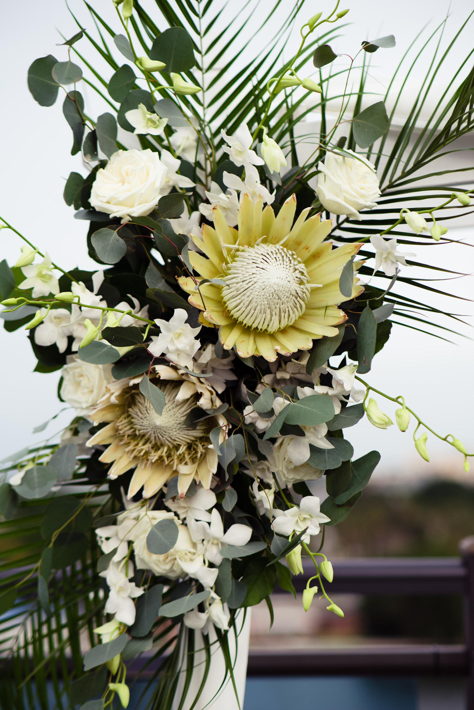 Neutral Boho Wedding Ceremony Decor, White and Yellow King Proteas, White Roses, Eucalyptus, Palm Fronds, White Orchids Wedding Floral Arrangement | Tampa Bay Wedding Planner Perfecting the Plan | Wedding Florist Iza's Flowers