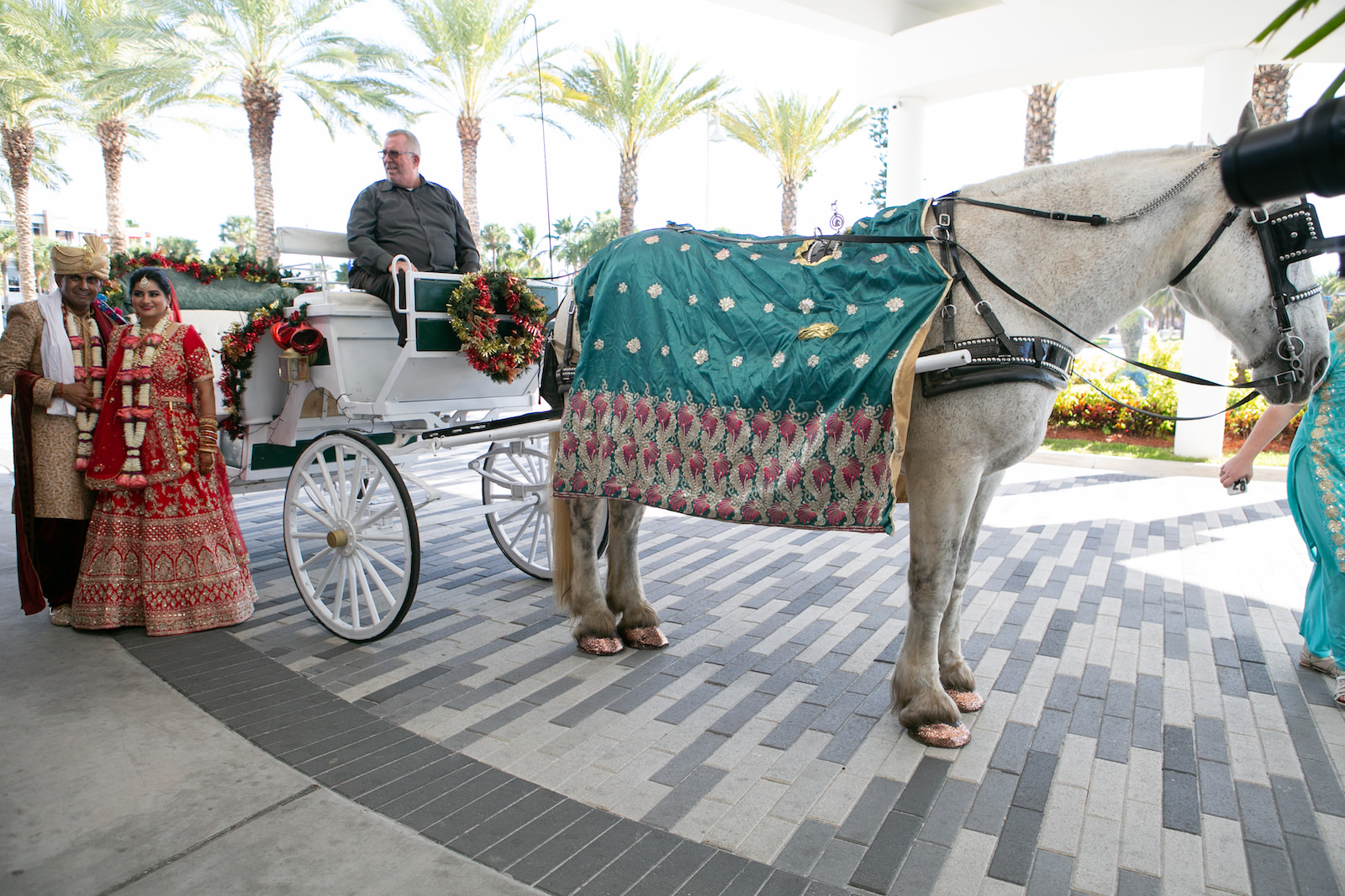 Tampa Clearwater Indian Beach Wedding Outdoor Bride and Groom Portrait with Horse and Carriage Baraat