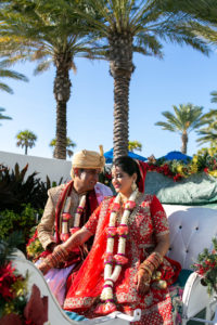 Tampa Clearwater Indian Beach Wedding Outdoor Bride and Groom Portrait with Horse and Carriage Baraat
