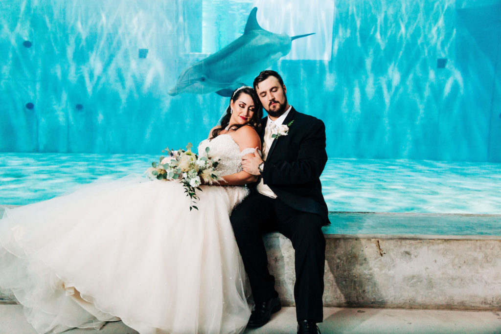 Unique Waterfront Tampa Bay Non-Profit Wedding Venue | Clearwater Marine Aquarium