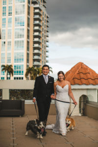 Tampa Bride and Groom on Rooftop with Dogs in Tuxedos | Wedding Pet Planner FairyTail Pet Care | St. Pete Wedding Venue The Birchwood