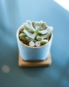 Succulents and Wedding Diamond Stud Earrings