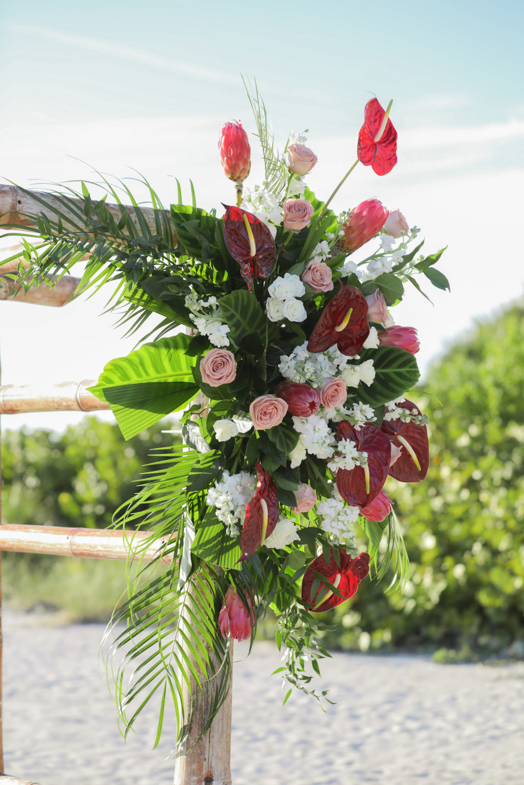 Tropical Wedding Ceremony Decor, Bamboo Arch with Lush Tropical Floral Arrangement, White and Pink Flowers, Burgundy Red Anthuriums, Palm Fronds | Tampa Bay Wedding Photographer Lifelong Photography Studio | St. Pete Beach Wedding Venue Postcard Inn | Wedding Florist Iza's Flowers