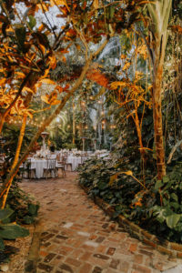 St. Pete Outdoor Wedding Reception Under the Palms with Cafe Lighting | Sunken Gardens