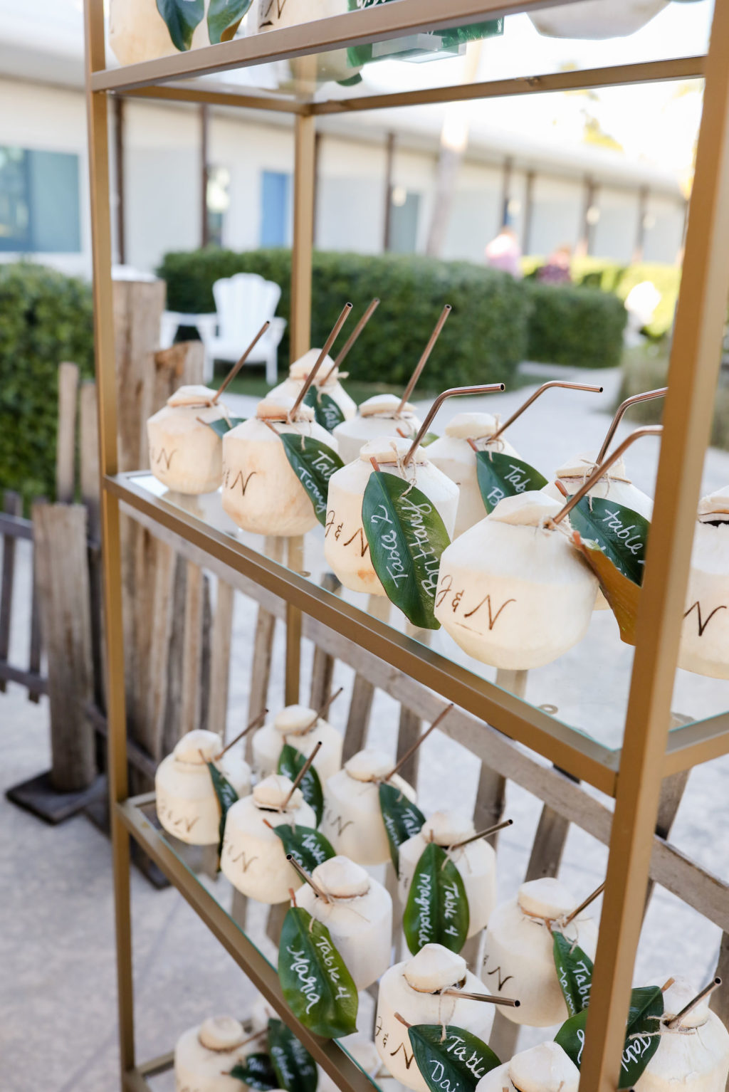 Tropical Florida Wedding Reception Decor, Gold Stand with Personalized Coconuts Place Cards | Tampa Bay Wedding Photographer Lifelong Photography Studio
