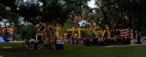 Intimate DIY Backyard Wedding Reception