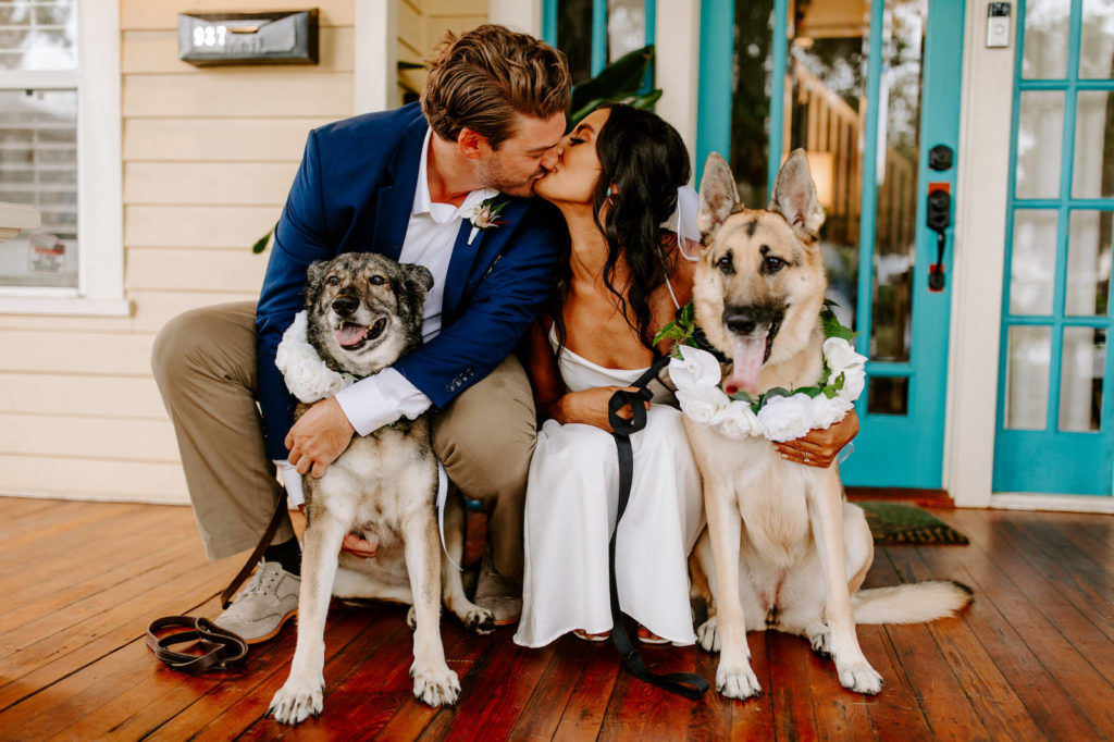 Tampa Bay Bride and Groom Kiss with their Pets That Attend Florida Wedding, Bride and Groom Husky Dogs wear White Floral Dog Collars | St. Petersburg Wedding Planner Parties A'La Carte