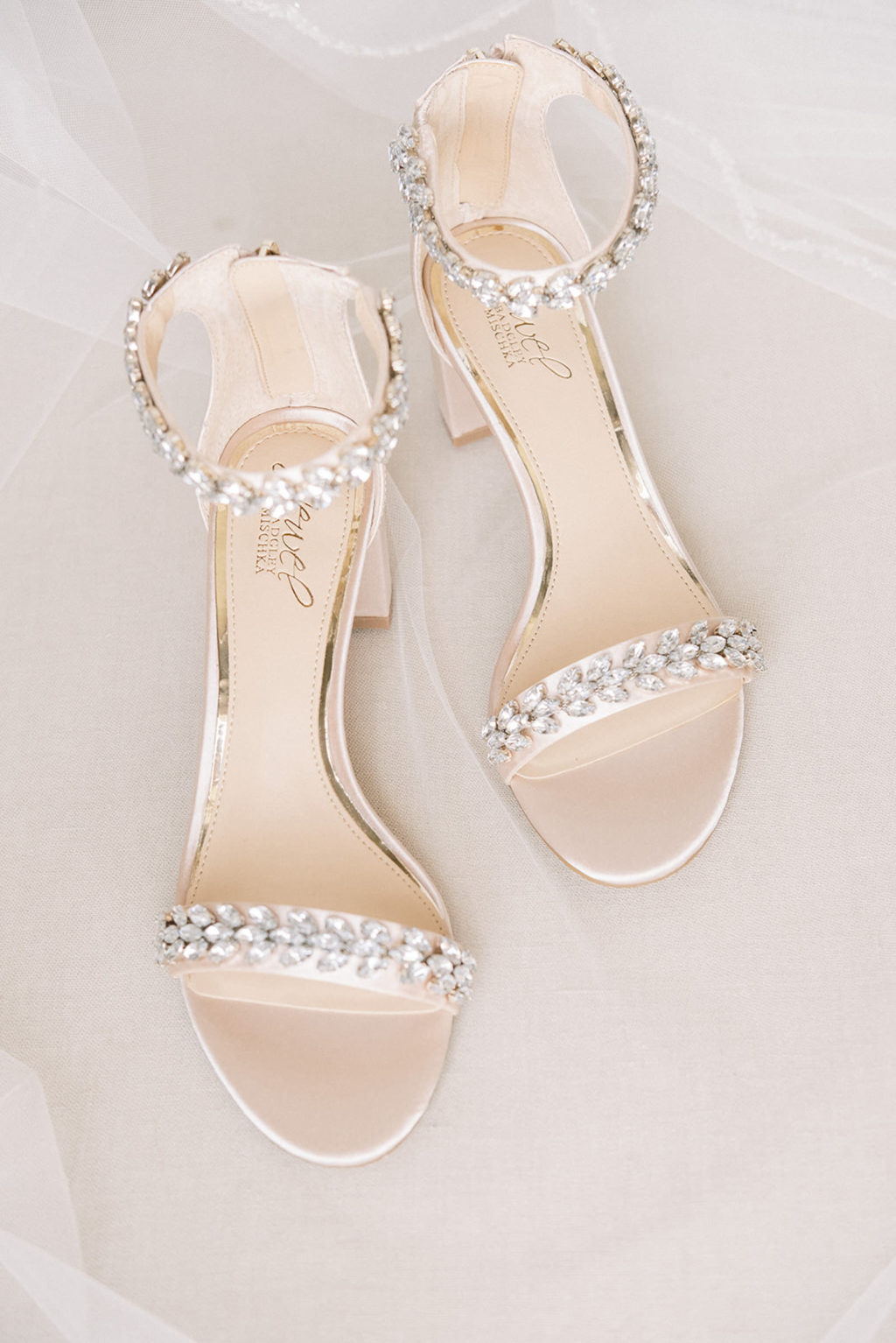 Champagne Badgley Mischka Crystal Straps Bridal Shoes