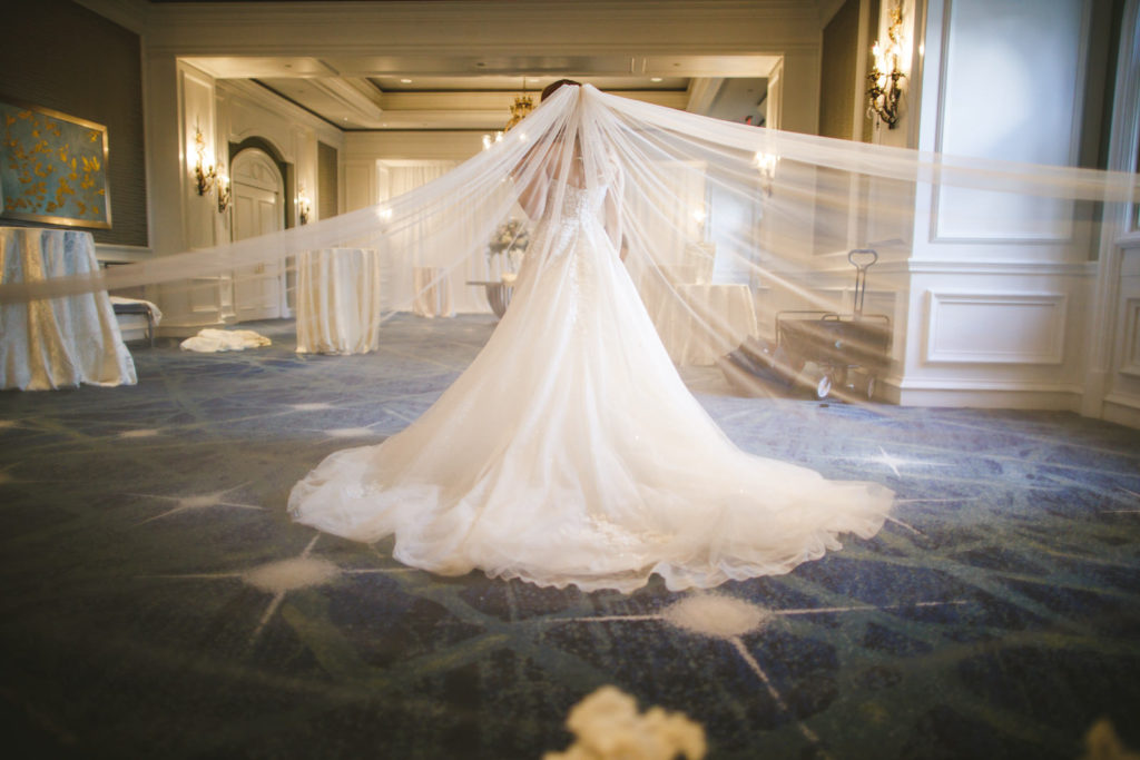 Indoor Hotel Hallway Bridal Portrait | Ghalia Lahav Designer Strapless Wedding Dress with Embroidered Floral Lace and Long Cathedral Veil