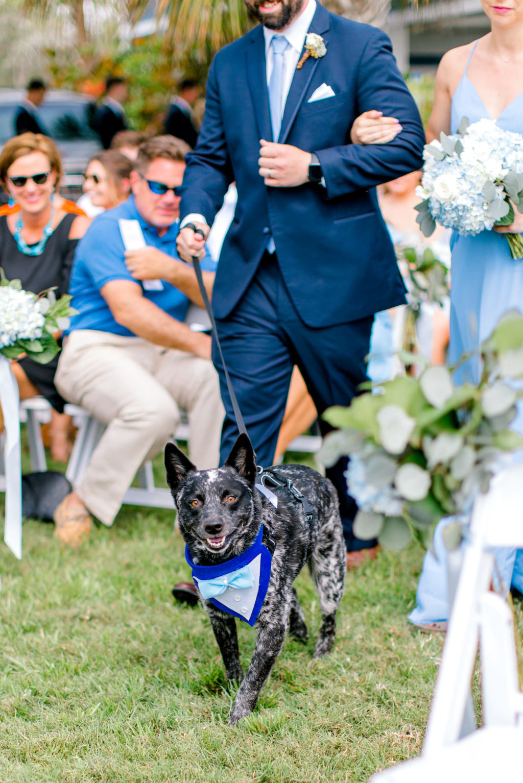 Dog Walking Down the Wedding Aisle Portrait | Dog as Ring Bearer Wedding Idea