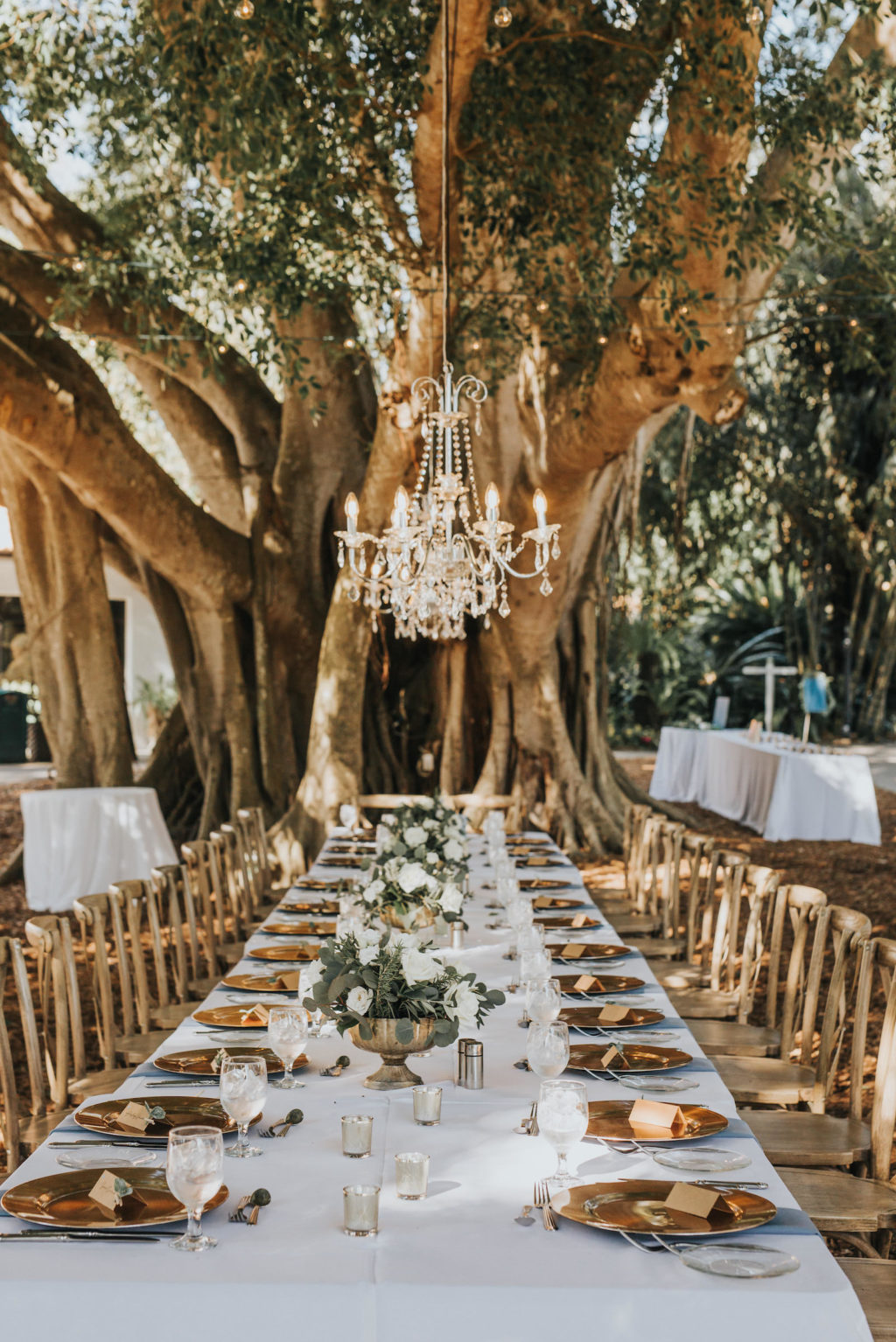 Romantic Rustic Outdoor Garden Wedding Reception | Sarasota Marie Selby Botanical Gardens | Gold Chargers and French Country Wooden Reception Chairs | Crystal Chandeliers Hanging from Trees | Sarasota Wedding Planner Taylored Affairs