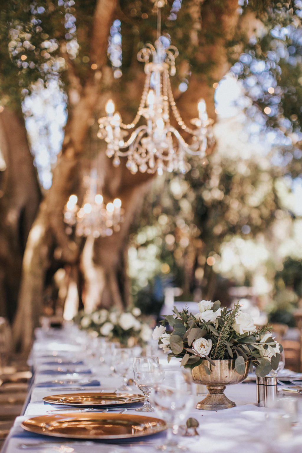 Romantic Rustic Outdoor Garden Wedding Reception | Sarasota Marie Selby Botanical Gardens | Gold Chargers and French Country Wooden Reception Chairs | Crystal Chandeliers Hanging from Trees | Sarasota Wedding Planner Taylored Affairs
