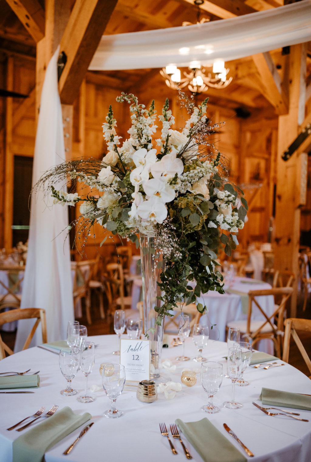 White Orchid Centerpiece with Greenery in Tall Clear Vase | Rustic Wedding Décor for Barn Wedding