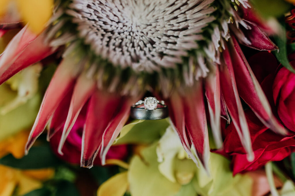 Round Solitaire Diamond Engagement Ring and Black Groom Wedding Band in Floral Bouquet, King Protea | Tampa Bay Wedding Photographer Amber McWhorter Photography