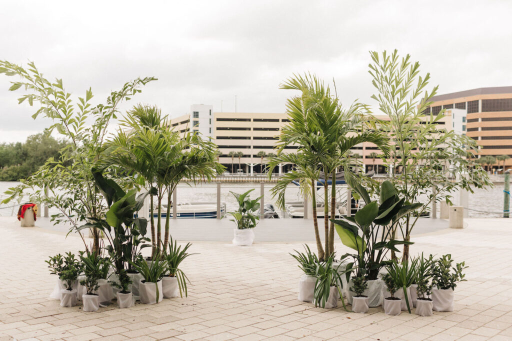 Outdoor Downtown Tampa Harbour Island Waterfront Wedding Ceremony with Potted Plants Greenery Palm Tree Backdrop