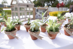 Mini Succulent Pots as Wedding Place Cards