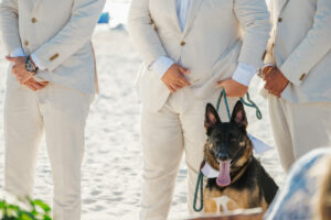 Florida Beachfront Wedding Ceremony with Dog in Wedding Party