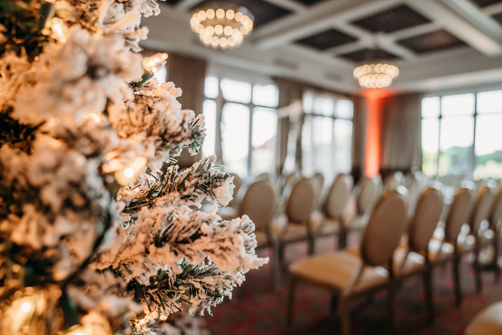 Christmas Wedding Decor, Flocked White Christmas Trees | St. Pete Wedding Venue The Birchwood