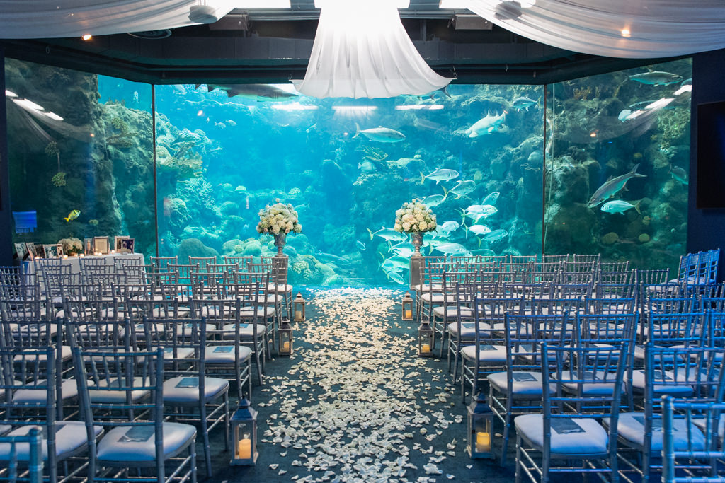 Wedding Shows And Bridal Expos Tampa Bay 2024