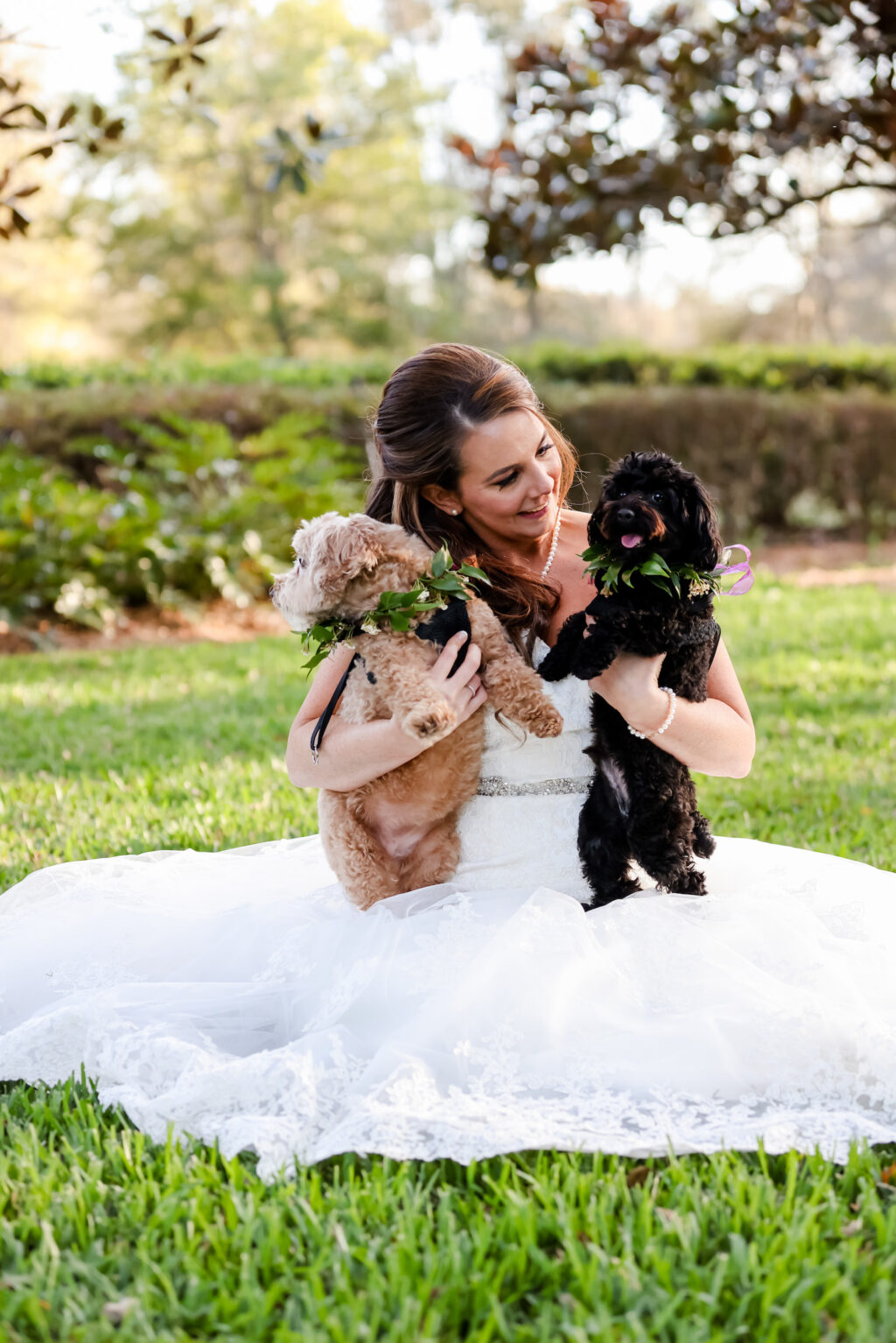 Romantic Classic Bride Sitting On Grass with Two Dogs | Tampa Bay Wedding Photographer Lifelong Photography Studio | Wedding Hair and Makeup Michele Renee the Studio | Wedding Pet Planner FairyTail Pet Care | Wedding Dress Truly Forever Bridal
