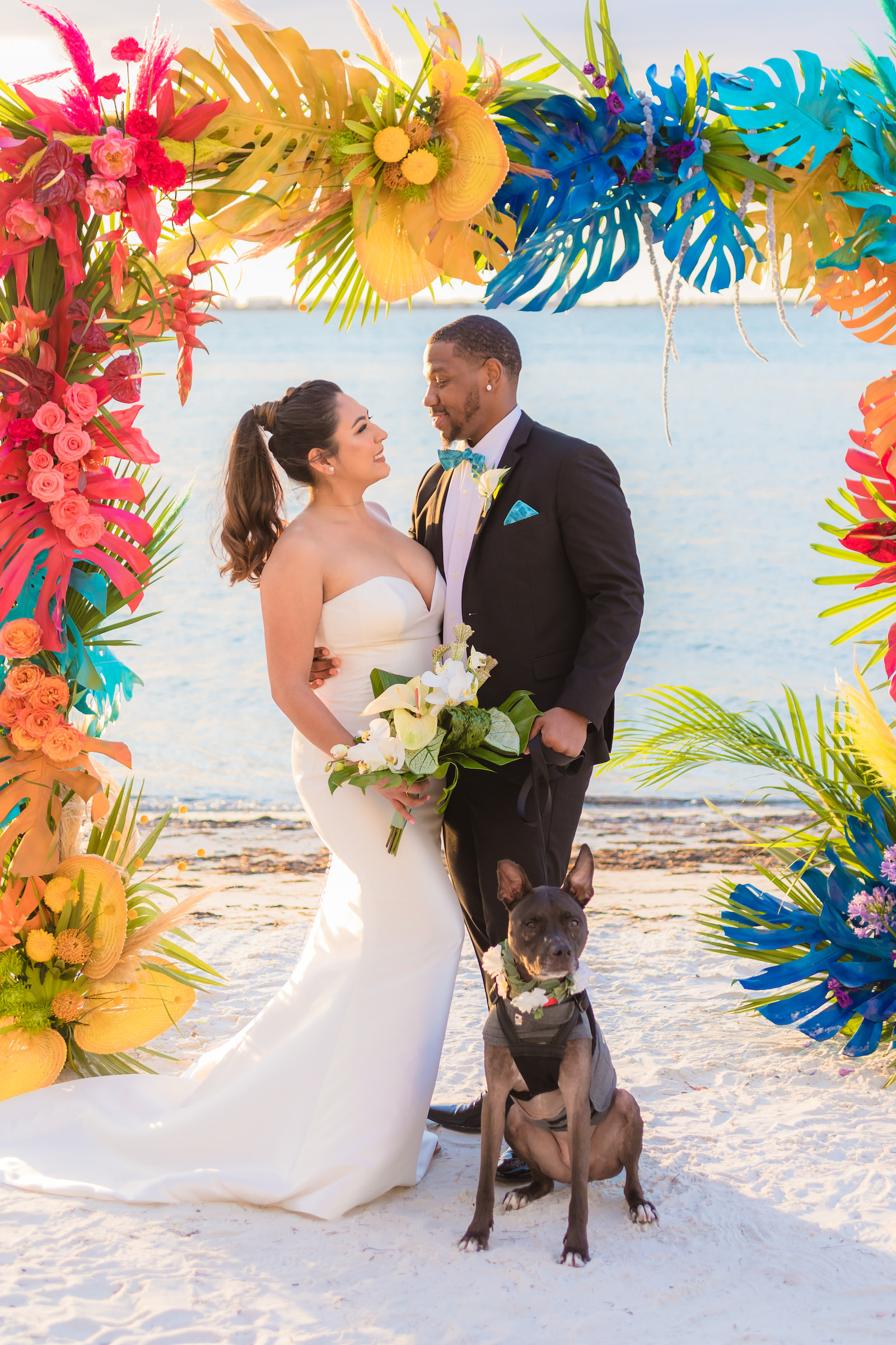 Bride and Groom Wedding portrait | Isla Del Sol Florida Wedding Ceremony St. Pete Beach | FairyTail Pet Care