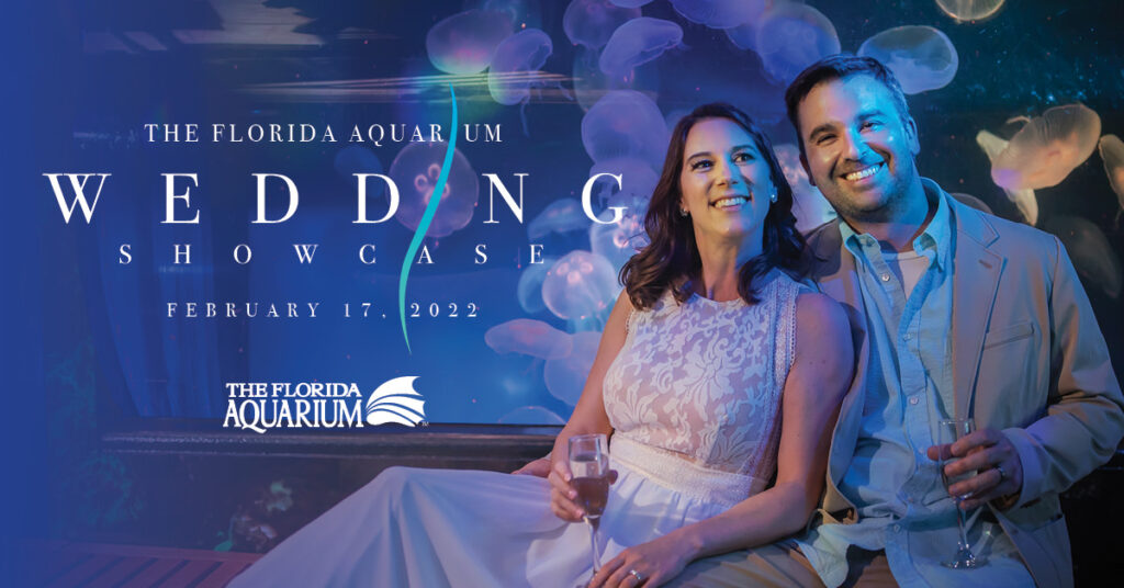 Downtown Tampa Florida Aquarium Bridal Show 2022