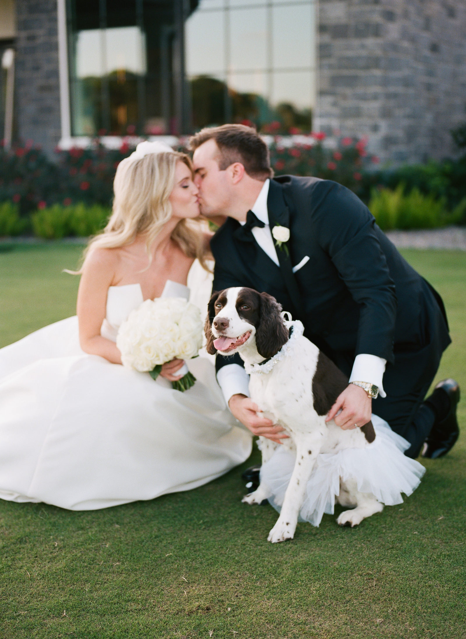 Luxurious All White Formal Wedding, Bride and Groom Kissing with Dog Wedding Photo | Tampa Bay Wedding Pet Planner FairyTail Pet Care