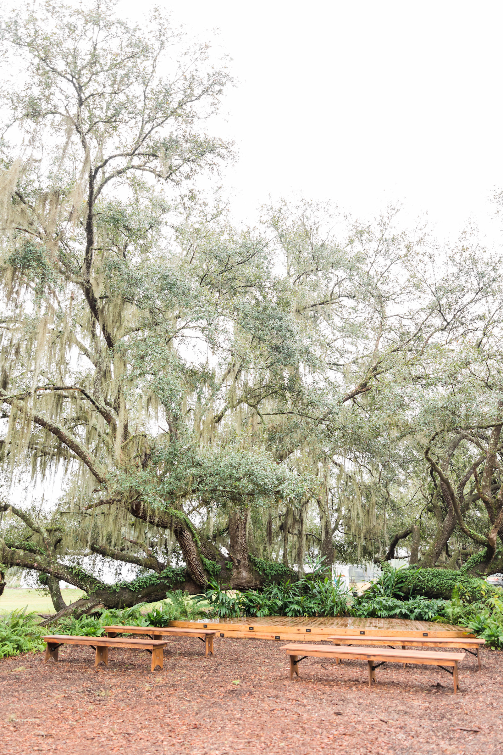 Marry Me Tampa Bay Headshot Event Mary Anna Photography Mill Pond Estate