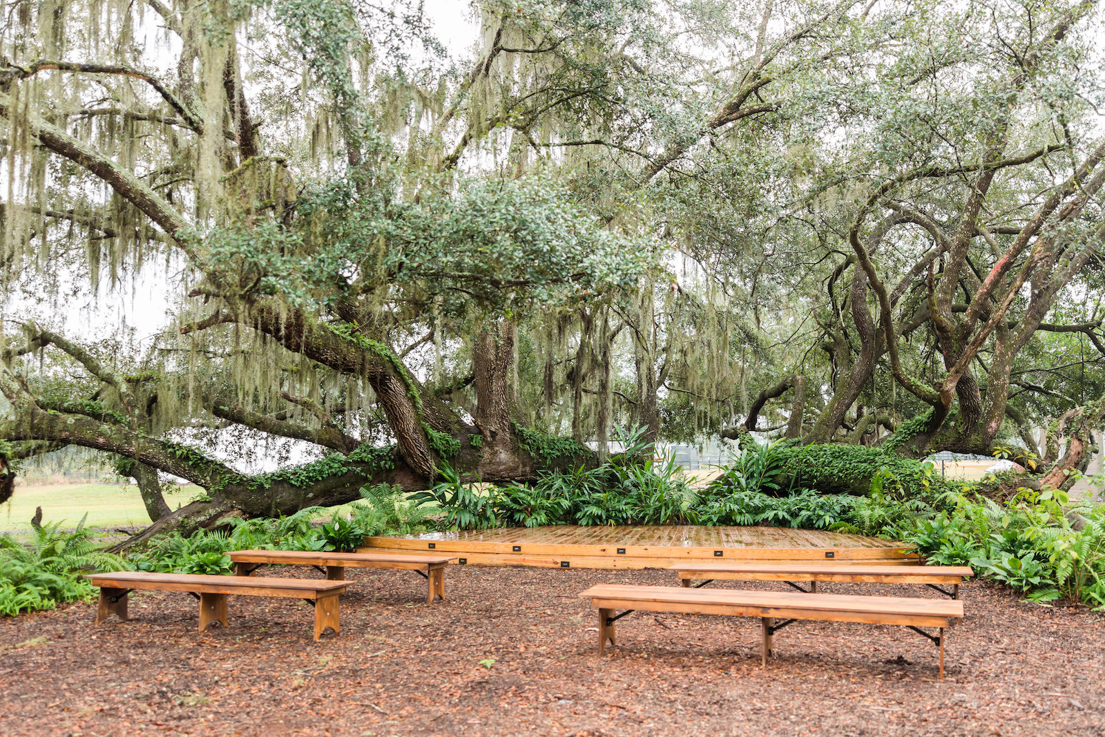 Marry Me Tampa Bay Headshot Event Mary Anna Photography Mill Pond Estate