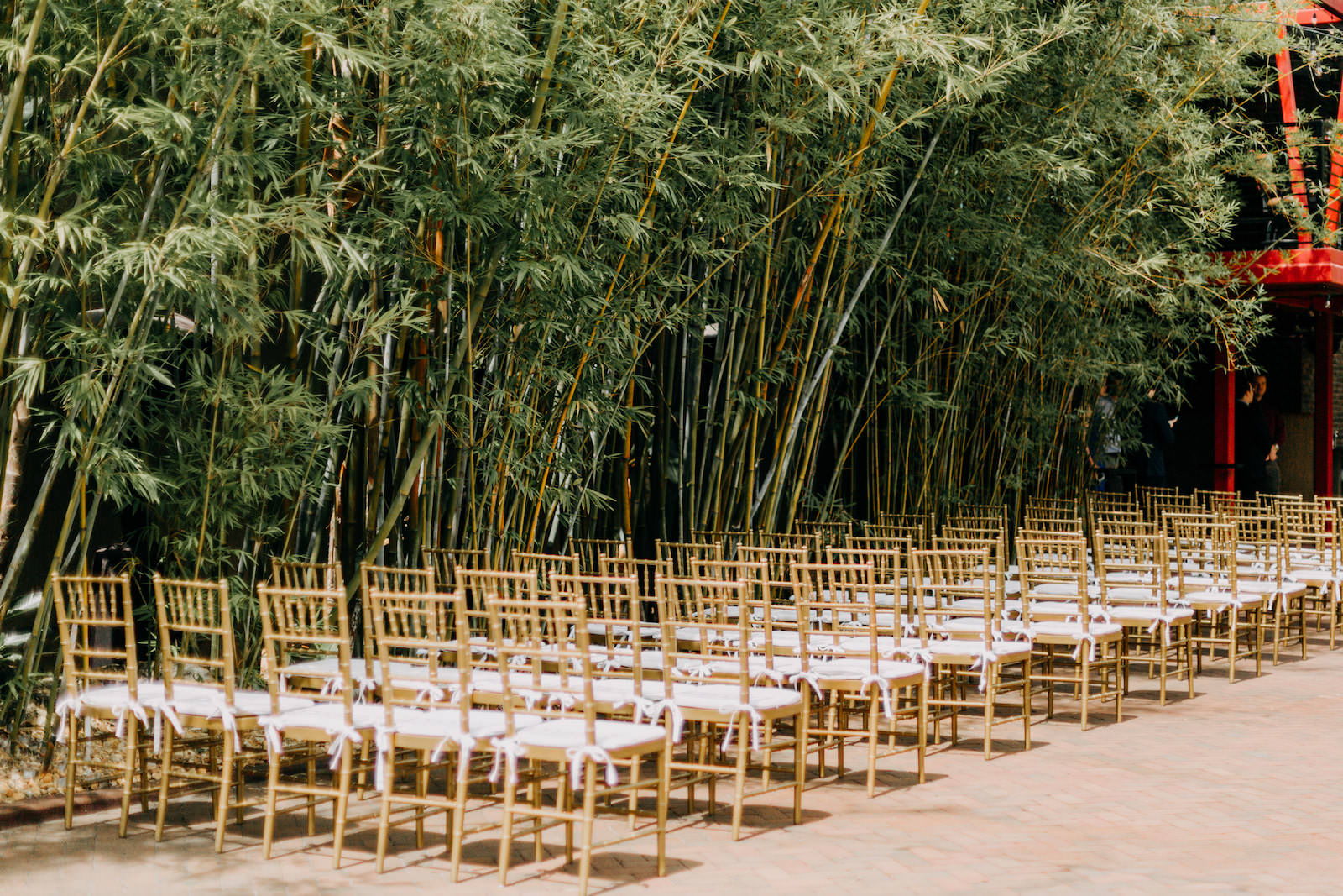 Gold Bamboo Wedding Ceremony Chairs at St. Petersburg Florida Outdoor Wedding Venue Nova 535
